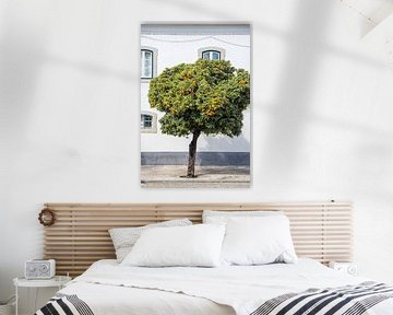 Blossoming Orange Tree in Portugal by Evelien Oerlemans