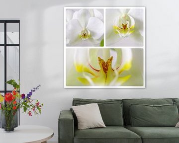 Orchidee 3 luik van Wiljo van Essen