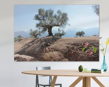 Olivenbaum in Sparta von Erika Zollner