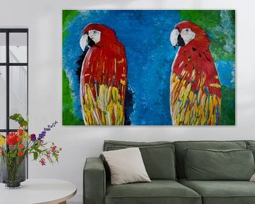 Twee papegaaien van Susanne A. Pasquay