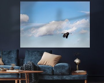 Ooievaar in de bewolkte lucht van Jürgen Schmittdiel Photography