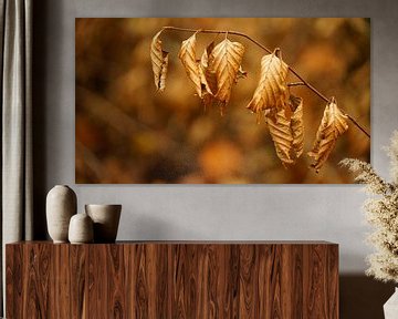 Feuilles frisées sur Mark de Wit Fotografie