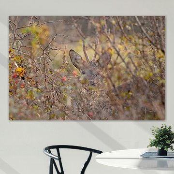 42/5000 Reebok versteckt sich hinter den Büschen