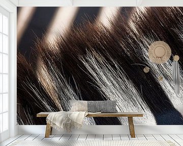 Close-up of zebra stripes and moons