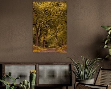 Herbstlicher Wald von Moetwil en van Dijk - Fotografie