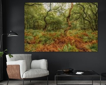 Autumn forest by Moetwil en van Dijk - Fotografie