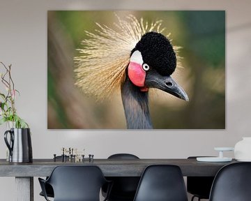 Portret van een Grijze Kroonkraanvogel op de Serengeti in Tanzania, Afrika