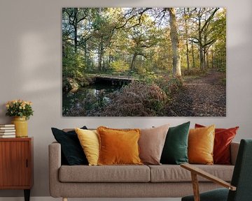 Tijdens wandelen in Oirschot met de herfst van Angela Kiemeneij