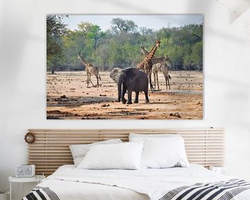 Elephant and giraffes in South Africa by Wouter van der Ent