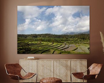 Magnifique paysage avec de vertes rizières en terrasses, Bali, Indonésie. Site mondial de l'Unesco
