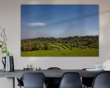 Une terrasse de riz traditionnelle dans la belle vallée de Sidemen, à l'est de Bali, en Indonésie