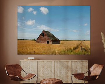 Boet in het graan van Peter Schoo - Natuur & Landschap