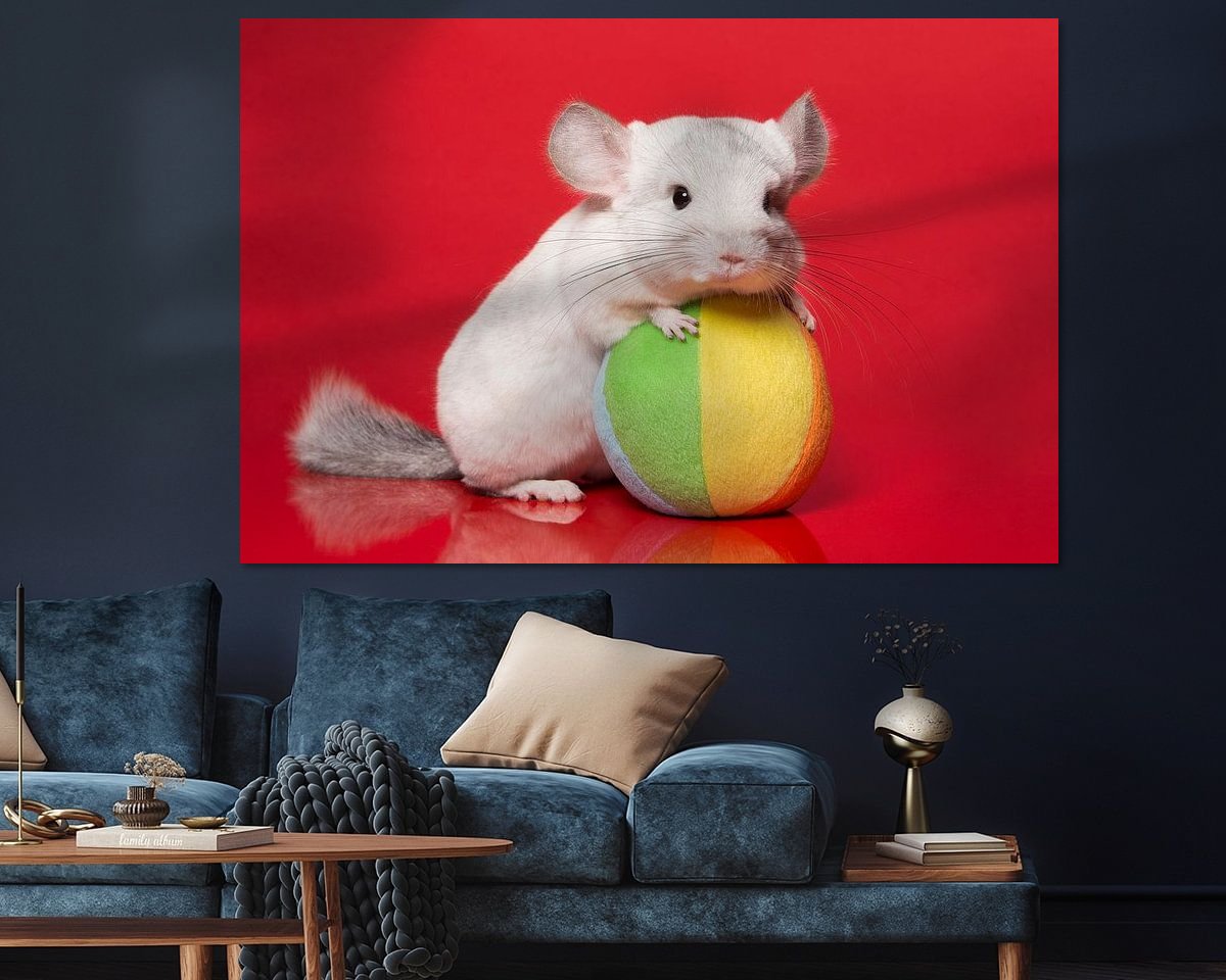 Raumvorschau