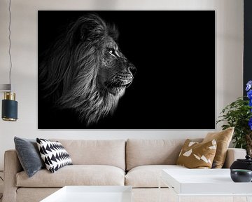 Afrikaanse leeuw zwart-wit & en profil