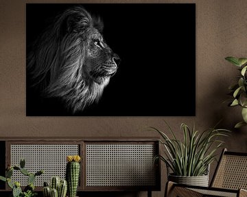 Afrikaanse leeuw zwart-wit & en profil van Daphne van Dam