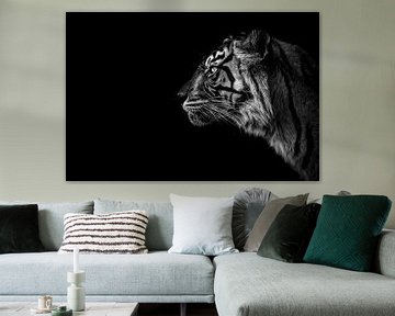 Sumatraanse tijger zwart-wit & en profil