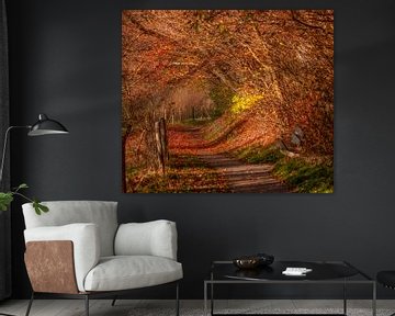 Autumn colours on the hills of southern Limburg