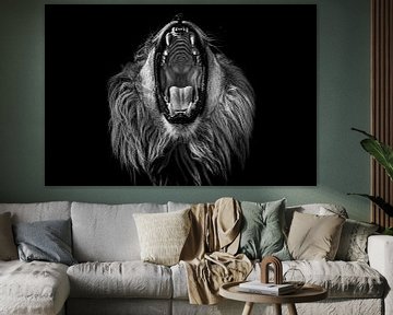 Roar ~ Afrikaanse leeuw 2