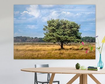 Solitaire boom in een Nederlands heidelandschap van Henk Van Nunen Fotografie