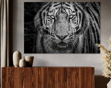 Siberische tijger close-up van Daphne van Dam
