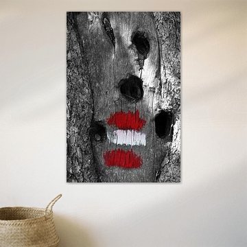 Wanderweg für spechte