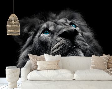 The eyes of a lion by Bert Hooijer