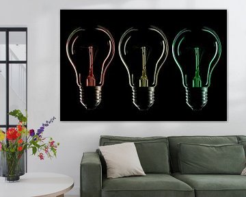 Bulb silhouette and colour 1 by Tanja van Beuningen