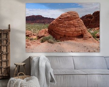 Beehive Rockformation im Valley of Fire, Nevada van Christiane Schulze