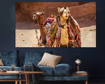 Kamelen in het oude Petra (Jordanië) van Jessica Lokker
