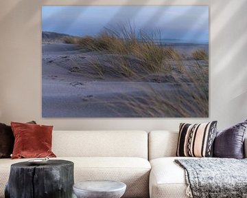 Walk in the dunes by Samantha van Leeuwen