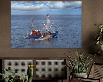 Krabknipper in het Nationaal Park Waddenzee van Peter Eckert