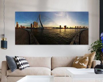 Rotterdamse skyline met Erasmusbrug van Frank Herrmann