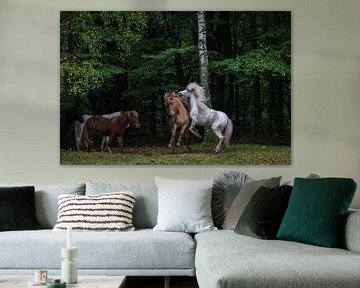 Paarden aan de rand van het bos van Jürgen Schmittdiel Photography