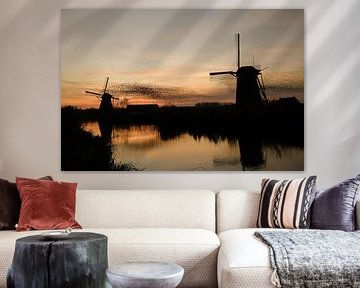 Stare tanzen bei Sonnenuntergang! von Cora Stout