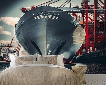 Hamburg - Containerreus op de terminal van Sabine Wagner