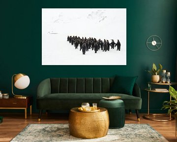 The penguin march by Jos van Bommel