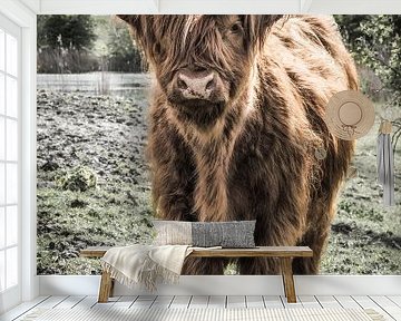 Scottish Highlander with beautiful clouds by John van den Heuvel