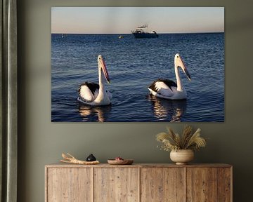 Hungry pelicans come to take a look by Lizette Schuurman