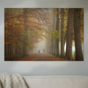 Fog in the forest in autumn