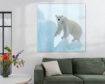 Polar Bear van David Potter