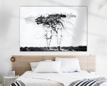 arbre abstrait sur Ingrid Van Damme fotografie