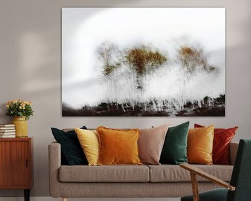 Abstract trees by Ingrid Van Damme fotografie