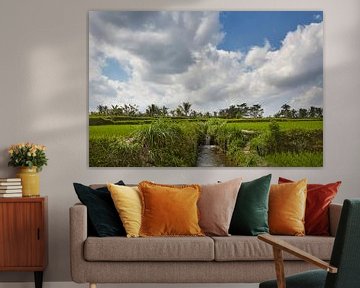 Beautiful landscape with rice terraces and coconut palms near Tegallalang village, Ubud, Bali, Indon by Tjeerd Kruse