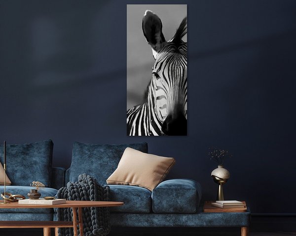 black-and-white Zebra