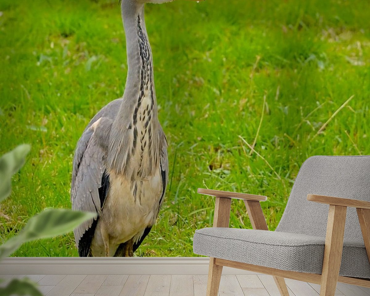 Raumvorschau