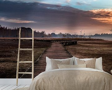 Follow the path by Kim van der Weerden