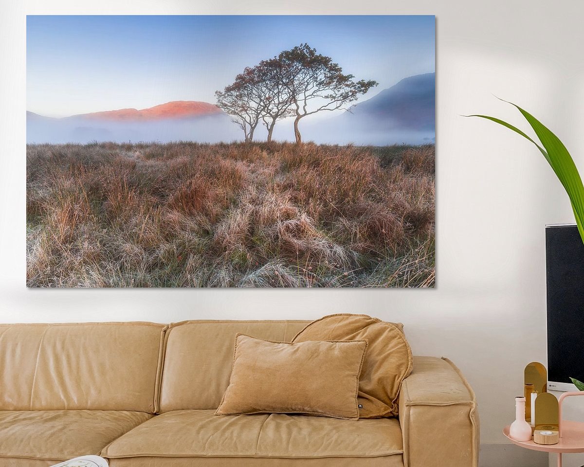 Raumvorschau