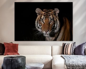 Portret van een jonge tijger