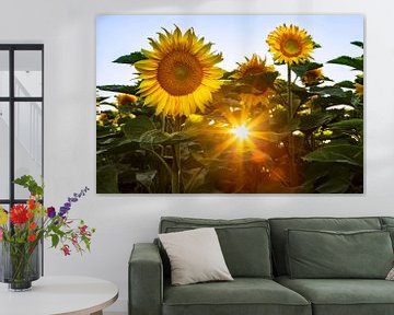 Zon en zonnebloemen van Daniela Beyer
