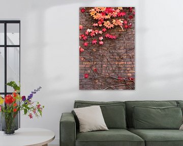 Ivy in herfstkleuren op een bakstenen muur